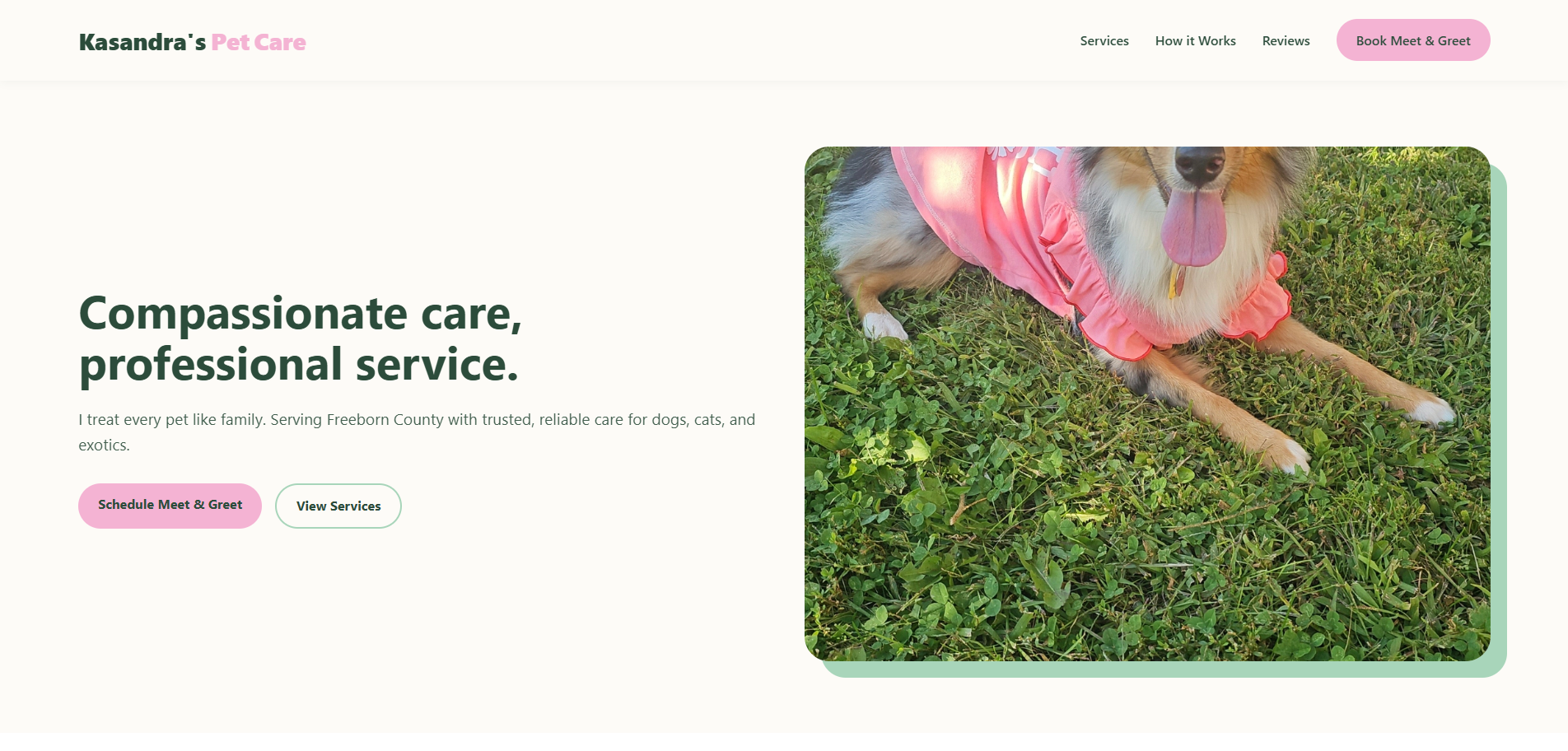 Kasandra's Pet Care